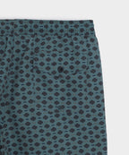 5" Montauk Swim Trunk