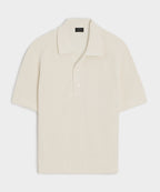 Beechwood Sweater Polo